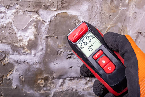 Crawl Space Mold Removal in Miami Springs, FL